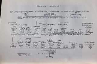 Lee Family Tree